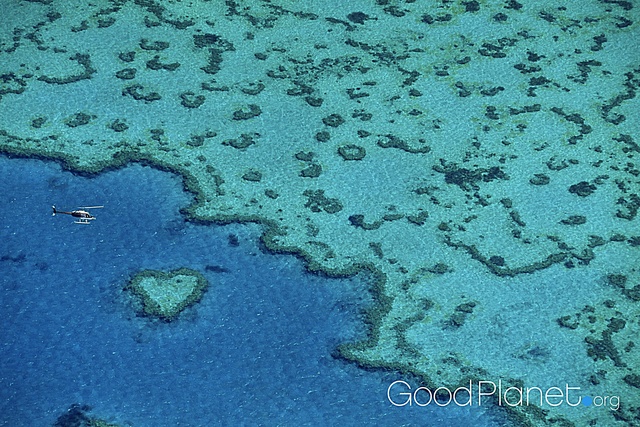 Great Barrier reef, Queensland, Australia, (16Â°55â€™ S, 146Â°03â€™ E)